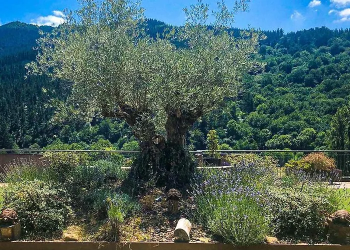 Hotel Komentu Maitea